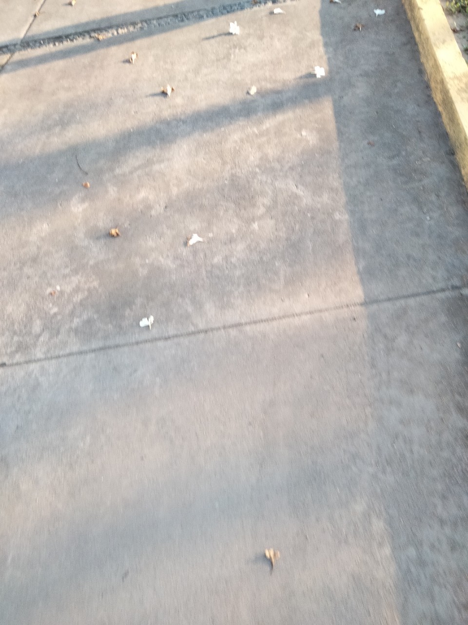 Slideshow Image 1
